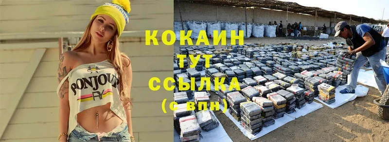 где купить наркотик  кракен ссылки  COCAIN Эквадор  Белозерск 